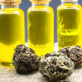 The Difference Between Hemp Oil and CBD Oil