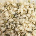 How to Incorporate Hemp Seeds into Your Diet