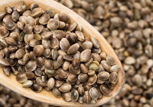 Can Hemp Seeds Make You Fail a Drug Test?