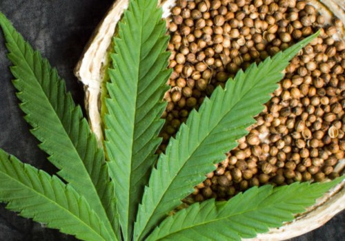 The Benefits of Hemp: What Makes it So Special?